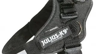 JULIUS-K9 IDC Power, ham tractiune caini, M, 14-25kg, negru