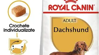 ROYAL CANIN Dachshund Adult, hrana uscata caini, 1.5kg