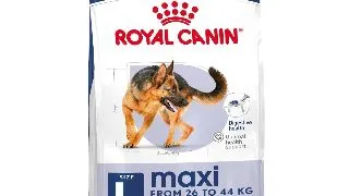 ROYAL CANIN Maxi Adult, hrana uscata caini, 3kg