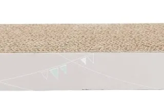 Carton De Zgariat, Junior