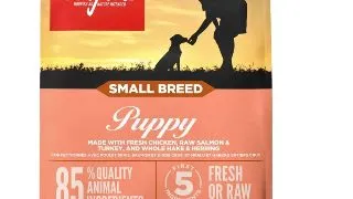ORIJEN Puppy Small Breed, XS-S, Pui si Curcan, hrana uscata fara cereale caini junior, 1.8kg