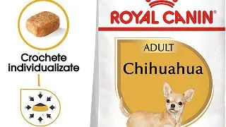 ROYAL CANIN Chihuahua Adult, hrana uscata caini, 1.5kg