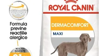 ROYAL CANIN Maxi Dermacomfort, hrana uscata caini, prevenirea iritatiilor pielii, 12kg