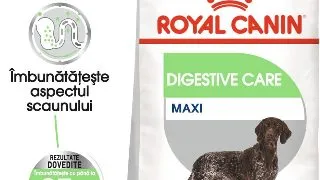 ROYAL CANIN Maxi Digestive Care, hrana uscata caini, confort digestiv, 12kg