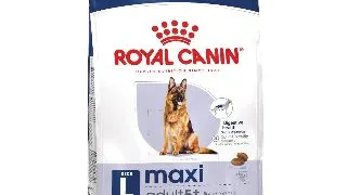 ROYAL CANIN Maxi Adult 5+, hrana uscata caini, 15kg