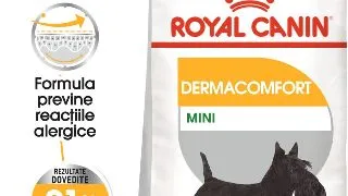 ROYAL CANIN Mini Dermacomfort, hrana uscata caini, prevenirea iritatiilor pielii, 1kg