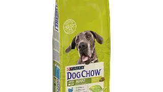 PURINA Dog Chow Adult L-XL, Curcan, hrana uscata caini, 14kg