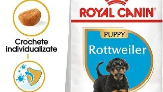 ROYAL CANIN Rottweiller Puppy, hrana uscata caini junior, 12kg