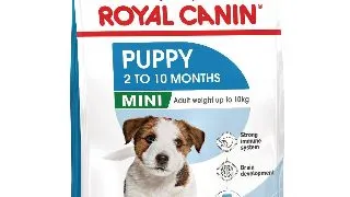 ROYAL CANIN Mini Puppy, hrana uscata caini junior, 2kg