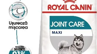 ROYAL CANIN Maxi Joint Care, hrana uscata caini, ingrijirea articulatiilor, 10kg