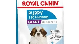 ROYAL CANIN Giant Puppy, hrana uscata caini junior, etapa 1 de crestere, 3.5kg