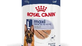Royal Canin Maxi Adult hrana umeda caine (pate) 410g 410g