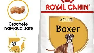 ROYAL CANIN Boxer Adult, hrana uscata caini, 12kg