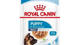 Royal Canin Maxi Puppy hrana umeda caine junior (in sos) 140g