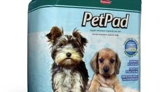 COVORASE ABSORBANTE PET PAD 60 X 60 CM 40 BUC
