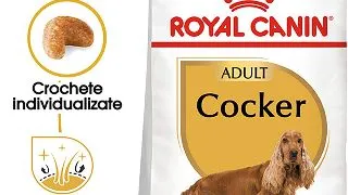 ROYAL CANIN Cocker Adult, hrana uscata caini, 3kg