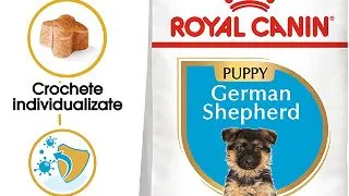 ROYAL CANIN German Shepherd Puppy, hrana uscata caini junior, 1kg
