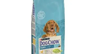 PURINA Dog Chow Puppy M, Pui, hrana uscata caini junior, 14kg