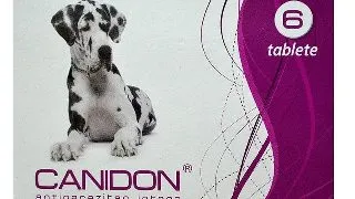 Canidon, 6 Comprimate