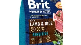 BRIT Premium By Nature Sensitive, Miel, hrana uscata caini, sensibilitati digestive, 3kg