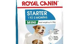 ROYAL CANIN Mini Starter Mother & Babydog, mama si puiul, hrana uscata caini, 1kg