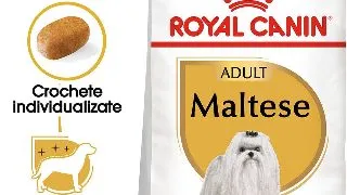 ROYAL CANIN Maltese Adult, hrana uscata caini, 500g