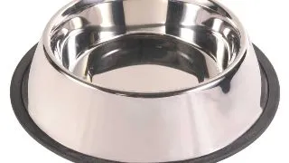 TRIXIE, castron caini, rotund, antiderapant, inox, argintiu, L-XL(2.8l, ⌀32cm)