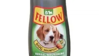 FELLOW - Sampon Caine - Herbal, 250 ml
