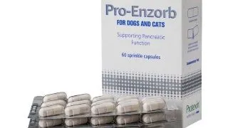 Supliment Nutritiv Pro-Enzorb, 60 capsule