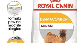 ROYAL CANIN Medium Dermacomfort, hrana uscata caini, prevenirea iritatiilor pielii, 12kg