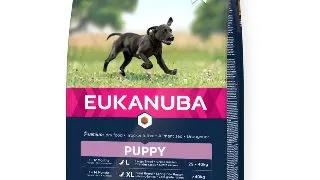 EUKANUBA Puppy Large Breed, L-XL, Pui, hrana uscata caini junior, 15kg