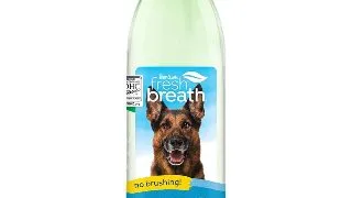 Aditiv Apa TropiClean Oral Care Plus Digestive Support, 473 ml