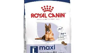 ROYAL CANIN Maxi Ageing 8+, hrana uscata caini, 15kg
