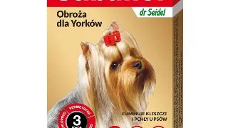 SABUNOL GPI, deparazitare externa caini, zgarda, XS-S(2 - 10kg), 35 cm, auriu, 1buc
