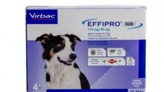 EFFIPRO Duo SD, deparazitare externa caini, pipeta repelenta, M(10 - 20kg), 4buc