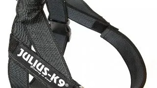 JULIUS-K9 IDC Color & Gray, ham banda caini, M, 14-25kg, negru