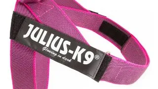 JULIUS-K9 IDC Color & Gray, ham banda caini, 2XL, 40-70kg, roz