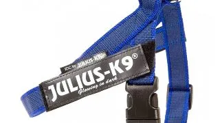 JULIUS-K9 IDC Color & Gray, ham banda caini, S, 7-15kg, albastru