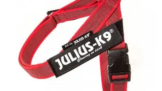 JULIUS-K9 IDC Color & Gray, ham banda caini, XS, 4-7kg, rosu