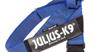 JULIUS-K9 IDC Color & Gray, ham banda caini, XL, 28-40kg, albastru