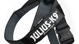 JULIUS-K9 IDC Color & Gray, ham banda caini, L, 23-30kg, negru