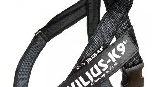 JULIUS-K9 IDC Color & Gray, ham banda caini, S, 7-15kg, negru