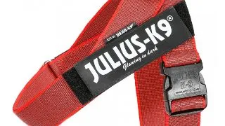 JULIUS-K9 IDC Color & Gray, ham banda caini, XL, 28-40kg, rosu