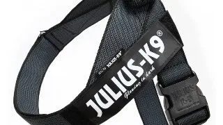 JULIUS-K9 IDC Color & Gray, ham banda caini, 2XL, 40-70kg, negru