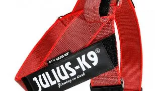 JULIUS-K9 IDC Color & Gray, ham banda caini, 2XL, 40-70kg, rosu