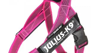 JULIUS-K9 IDC Color & Gray, ham banda caini, XS, 4-7kg, roz