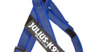JULIUS-K9 IDC Color & Gray, ham banda caini, XS, 4-7kg, albastru