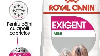 ROYAL CANIN Mini Exigent, hrana uscata caini, apetit capricios, 3kg