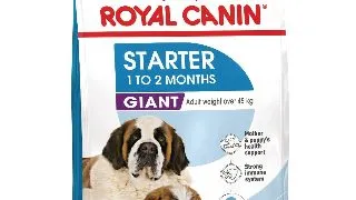 ROYAL CANIN Giant Starter Mother & Babydog, mama si puiul, hrana uscata caini, 15kg