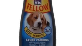 FELLOW - Sampon Caine - 2 in 1, 250 ml